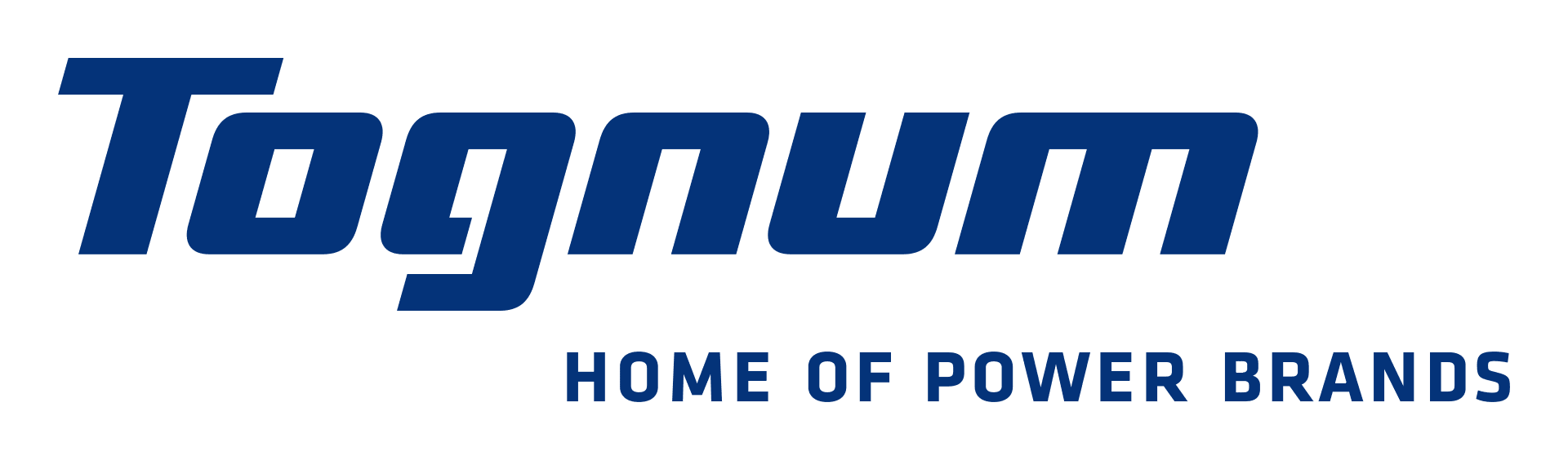 Tognum_Logo#